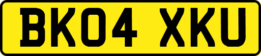 BK04XKU