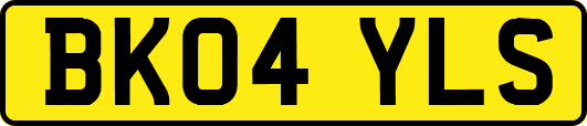 BK04YLS