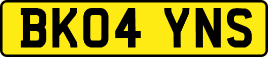 BK04YNS