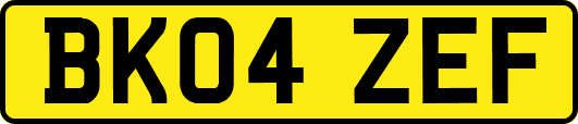 BK04ZEF