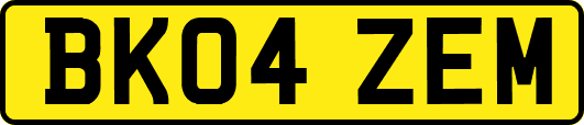 BK04ZEM