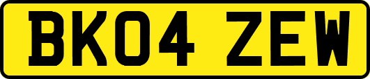 BK04ZEW
