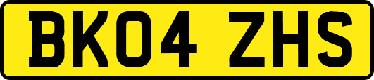BK04ZHS