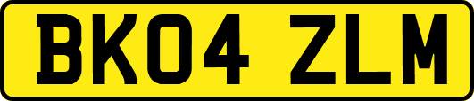 BK04ZLM
