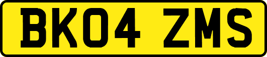 BK04ZMS