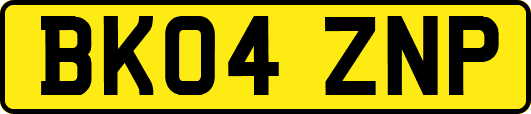 BK04ZNP