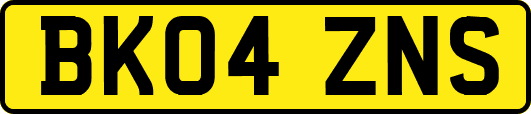 BK04ZNS