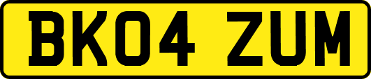 BK04ZUM