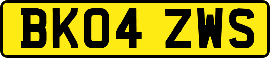 BK04ZWS