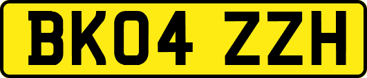 BK04ZZH