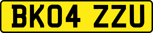 BK04ZZU