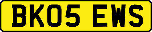 BK05EWS