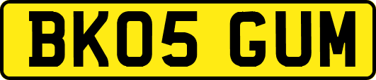 BK05GUM