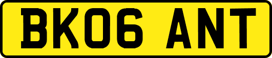 BK06ANT