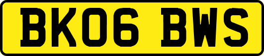 BK06BWS