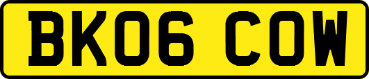 BK06COW