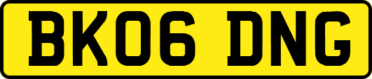 BK06DNG