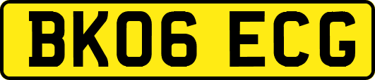 BK06ECG