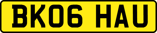 BK06HAU