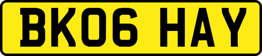 BK06HAY