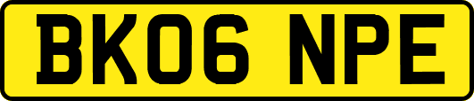 BK06NPE