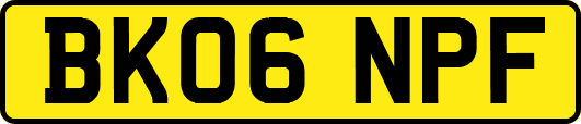 BK06NPF