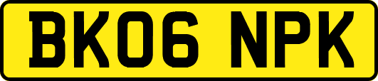 BK06NPK