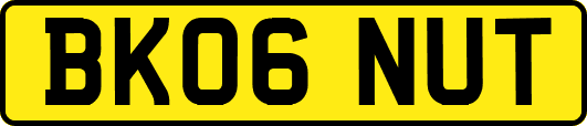 BK06NUT