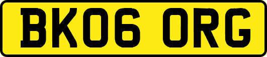 BK06ORG