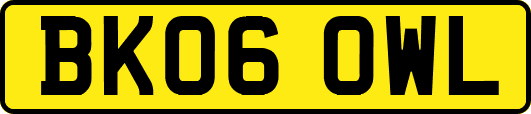 BK06OWL