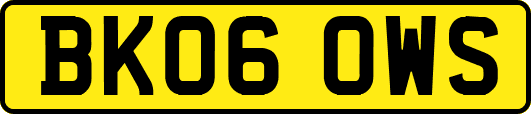 BK06OWS
