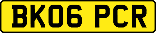 BK06PCR