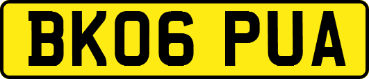 BK06PUA