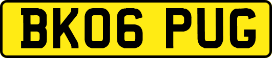 BK06PUG