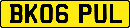 BK06PUL