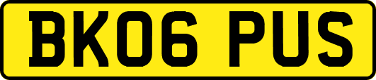 BK06PUS