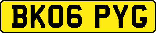 BK06PYG