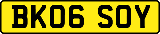 BK06SOY