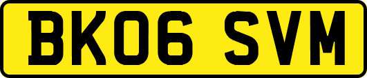 BK06SVM