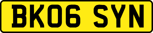 BK06SYN