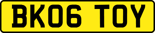 BK06TOY