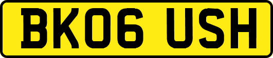 BK06USH