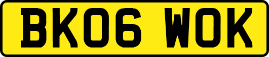 BK06WOK