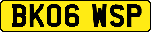 BK06WSP