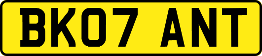 BK07ANT