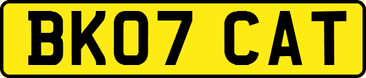 BK07CAT