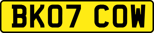 BK07COW