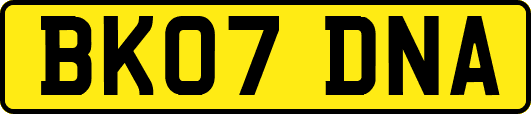 BK07DNA