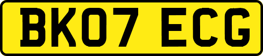 BK07ECG