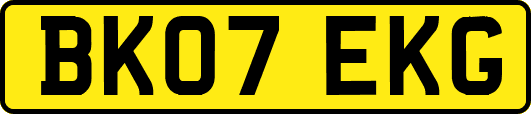 BK07EKG